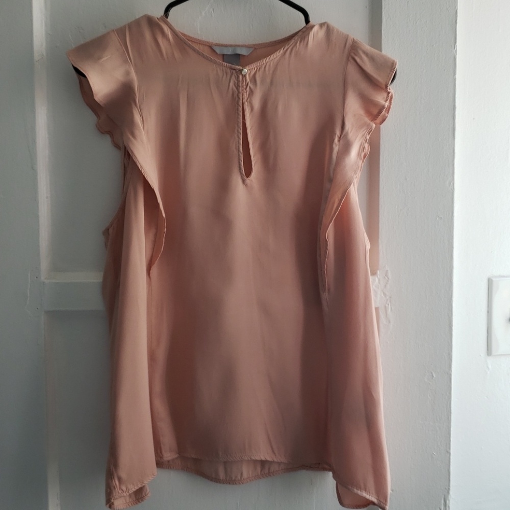 Ruffle Sleeve Blouse